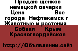 Продаю щенков немецкой овчарки › Цена ­ 5000-6000 - Все города, Нефтекамск г. Животные и растения » Собаки   . Крым,Красногвардейское